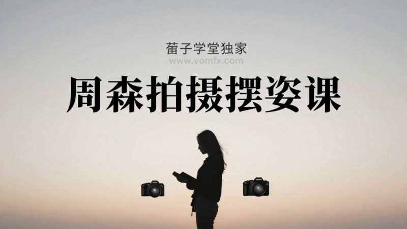 周森拍摄摆姿课｜人像模特姿势引导构图拍摄实战全套学习教程-夏拾光 smvis