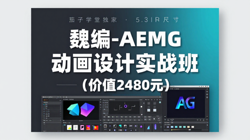 魏编 AE MG 动画设计实战班|After Effects 动态动画零基础进阶全套实战课程-夏拾光 smvis